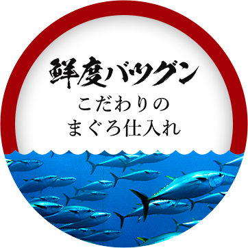 鮮度バツグン こだわりのまぐろ仕入れ